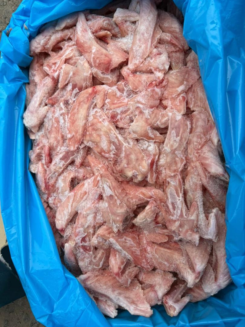 WhatsApp Image 2025-09-22 at 06.57.35