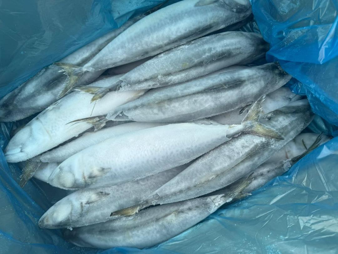 WhatsApp Image 2025-09-22 at 06.57.36